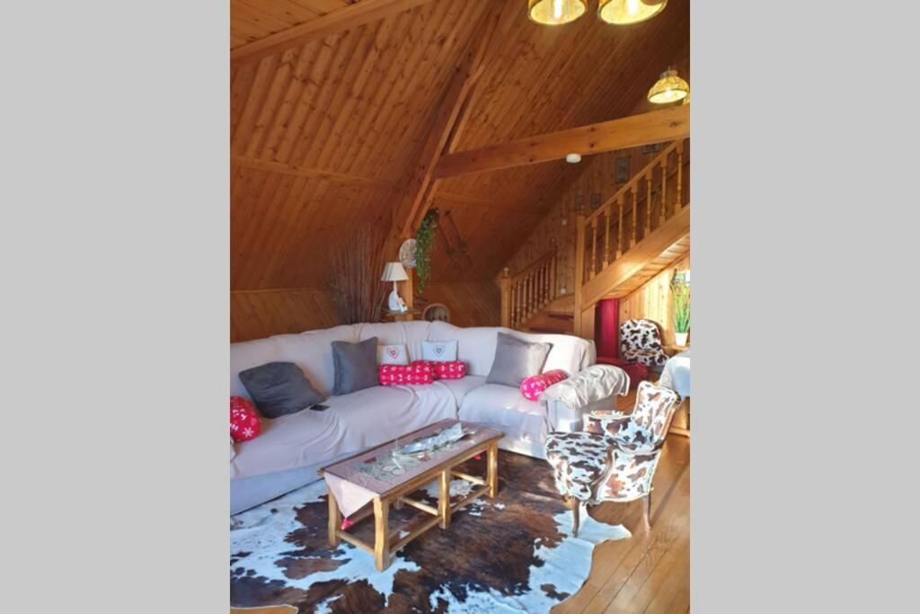 Authentique Chalet Vue Sur Le Lac Et Les Pistes Besse-et-Saint-Anastaise Exterior photo