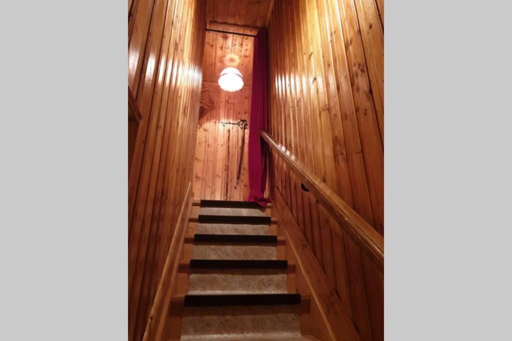 Authentique Chalet Vue Sur Le Lac Et Les Pistes Besse-et-Saint-Anastaise Exterior photo