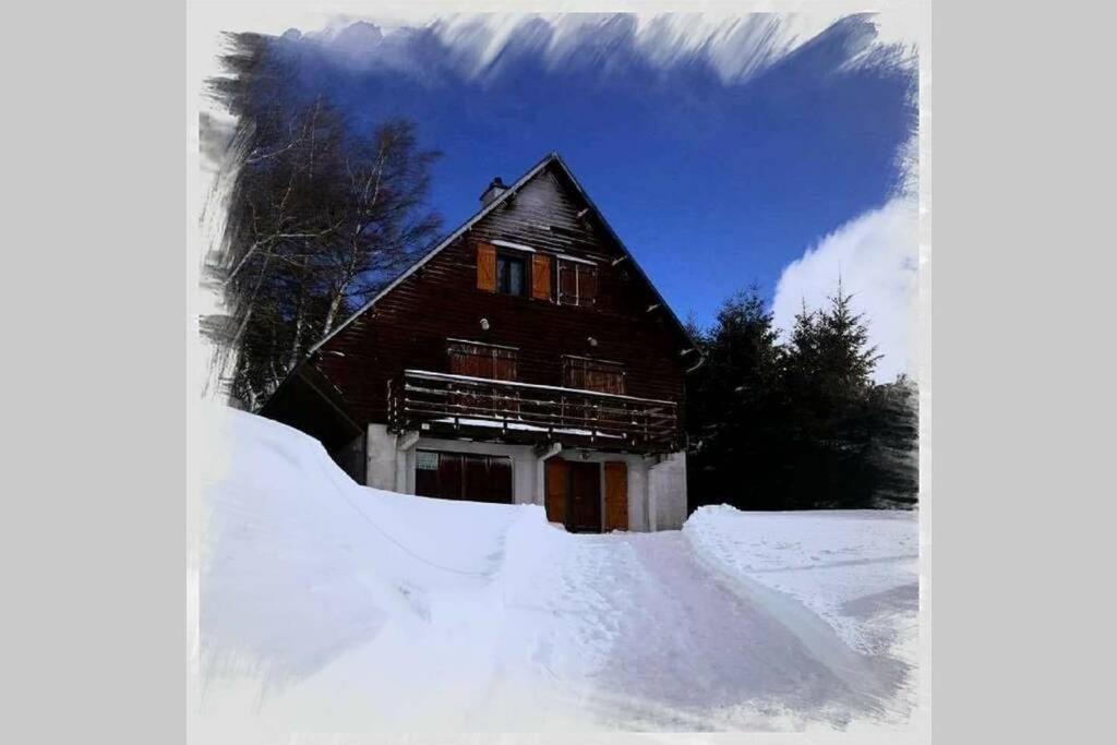 Authentique Chalet Vue Sur Le Lac Et Les Pistes Besse-et-Saint-Anastaise Exterior photo