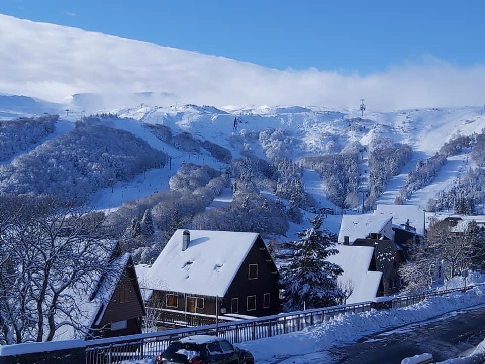 Authentique Chalet Vue Sur Le Lac Et Les Pistes Besse-et-Saint-Anastaise Exterior photo